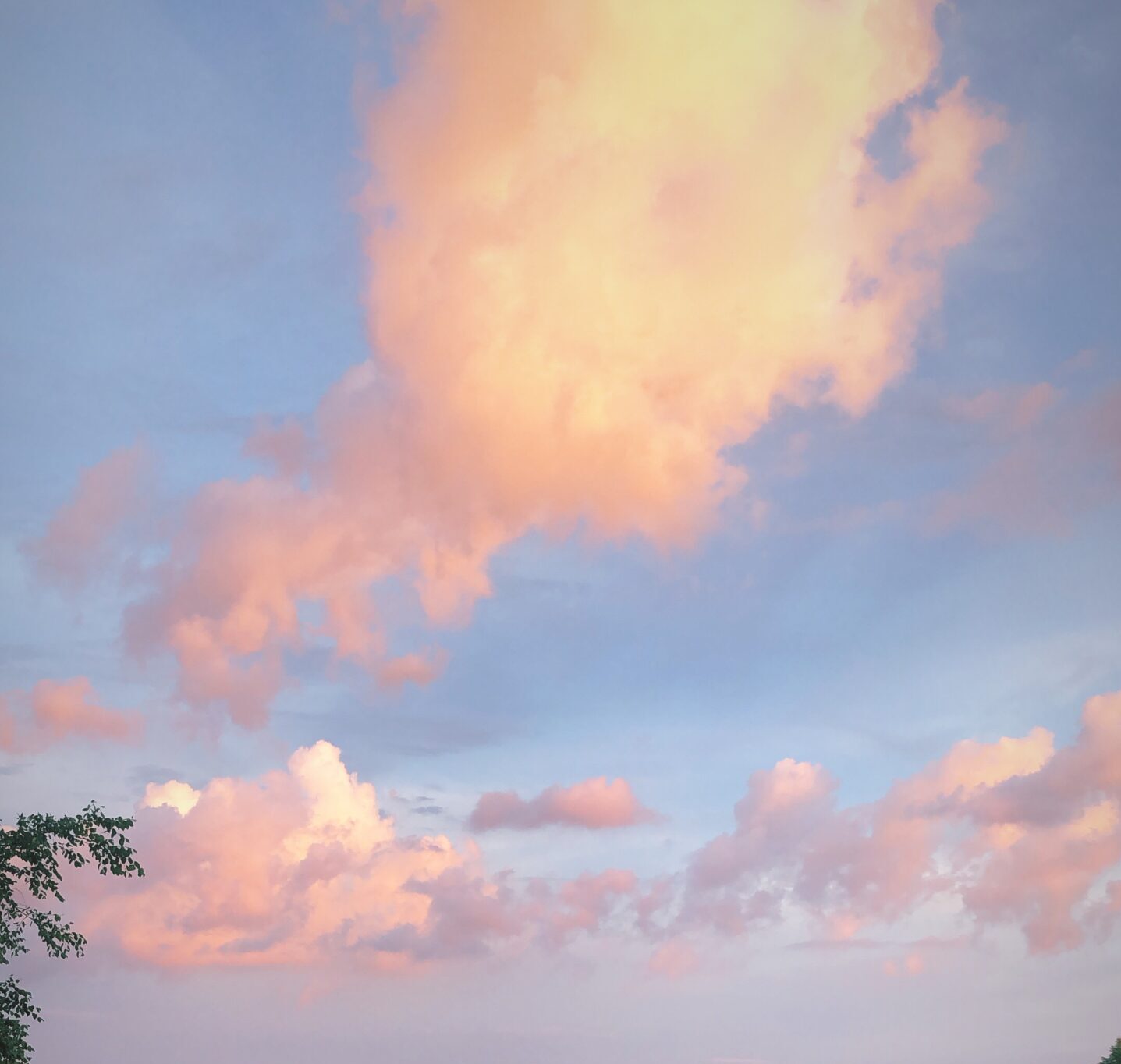 Blue sky with pink clouds